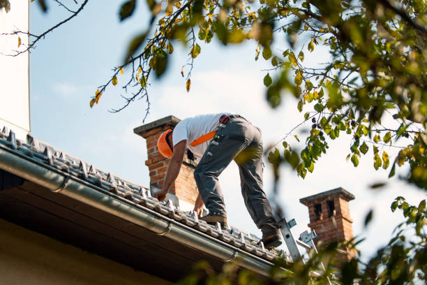 Best Roof Restoration Services  in Haskins, OH