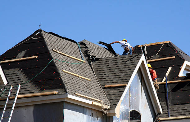 Best Storm Damage Roof Repair  in Haskins, OH