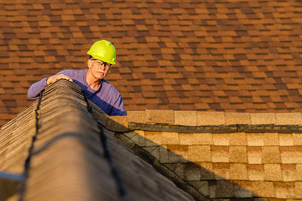 Best Roof Repair Services  in Haskins, OH