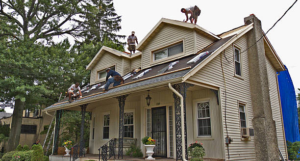 Best Roof Maintenance Services  in Haskins, OH