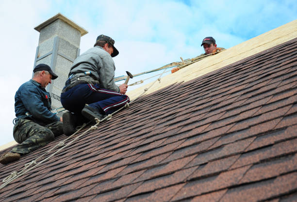 Best Emergency Roof Repair  in Haskins, OH