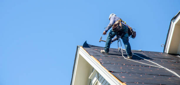 Best Flat Roof Repair Services  in Haskins, OH
